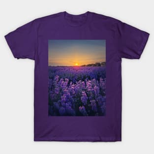 Picturesque scene of blooming lavender field T-Shirt